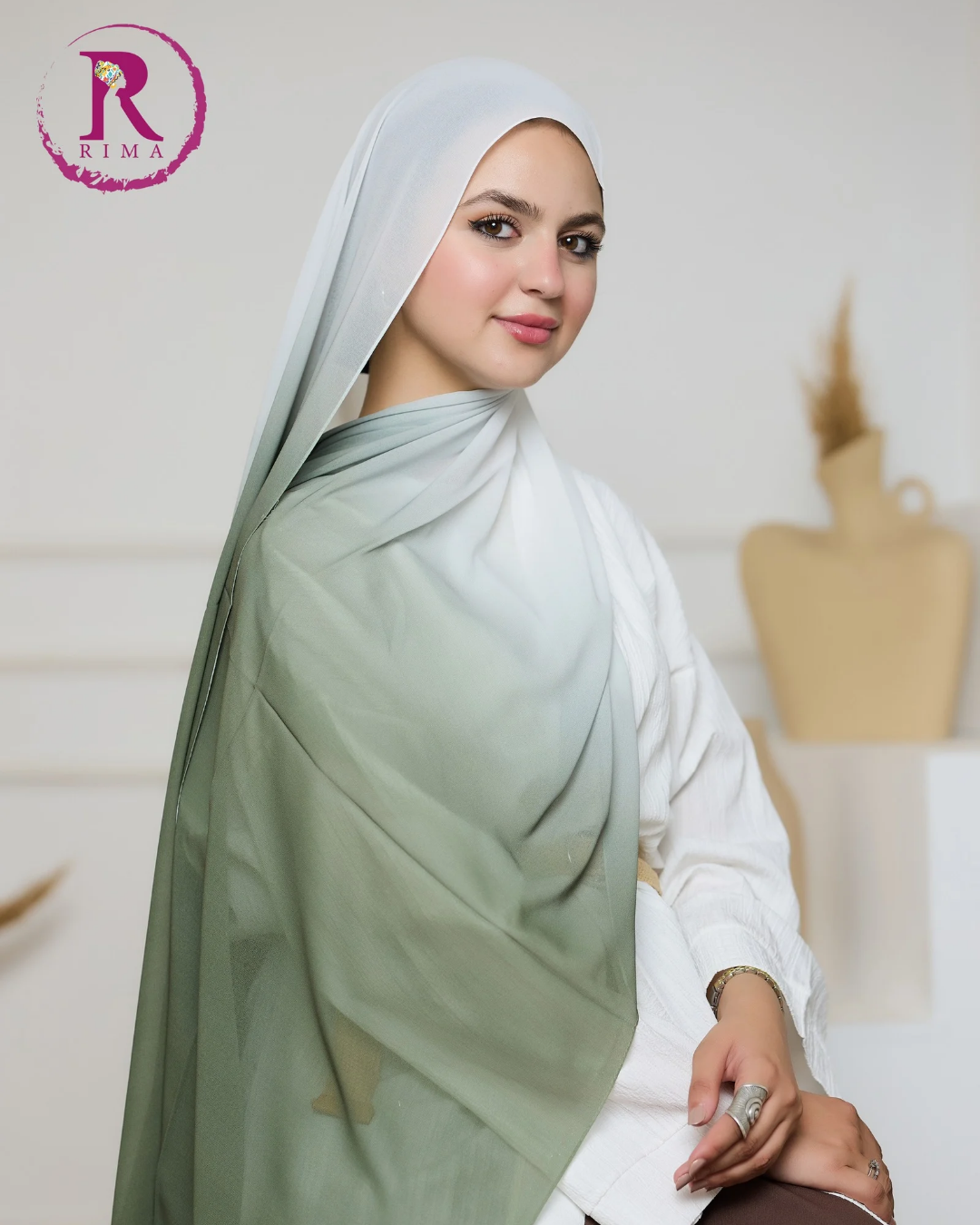 Gradient Chiffon Scarf