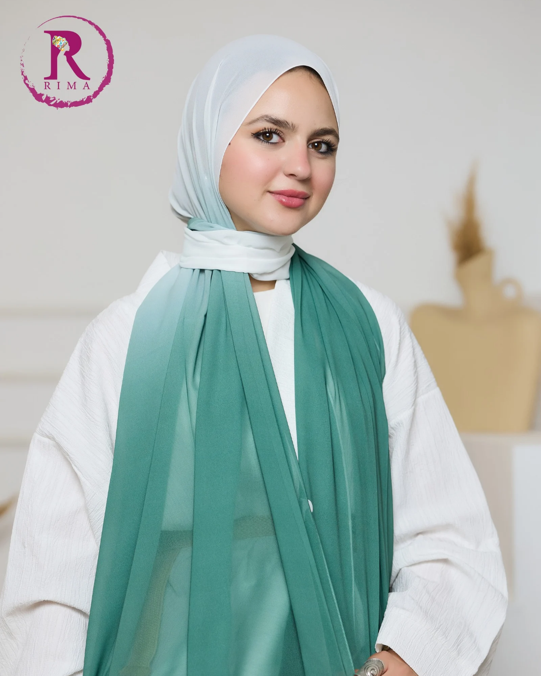 Gradient Chiffon Scarf