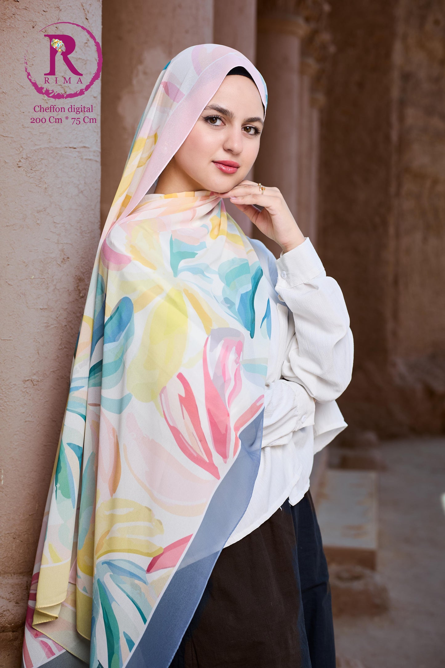 Rectangular Printed Chiffon Scarf